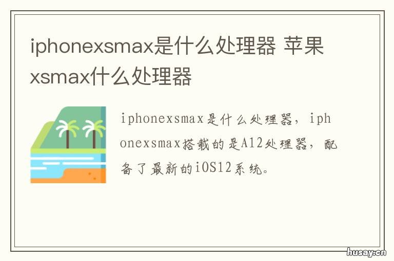 iphonexsmax是什么处理器 iphonexsmax的处理器是什么型号