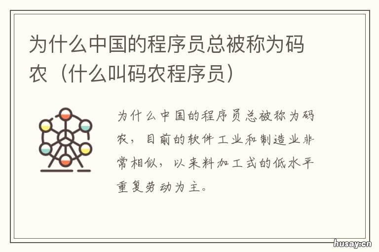 为什么中国的程序员总被称为码农 什么是真正的程序员