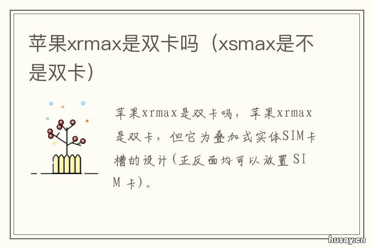 苹果xrmax是双卡吗 xrmax是不是双卡