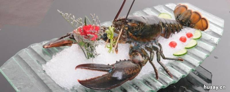 波士顿龙虾怎么挑 波士顿龙虾怎么挑有黄
