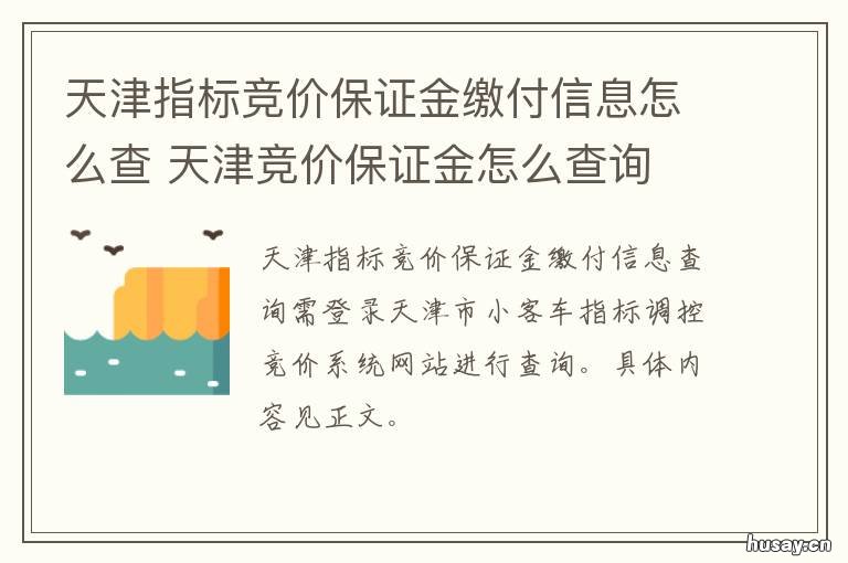 天津指标竞价保证金缴付信息怎么查 天津网上银行缴付竞价保证金指南