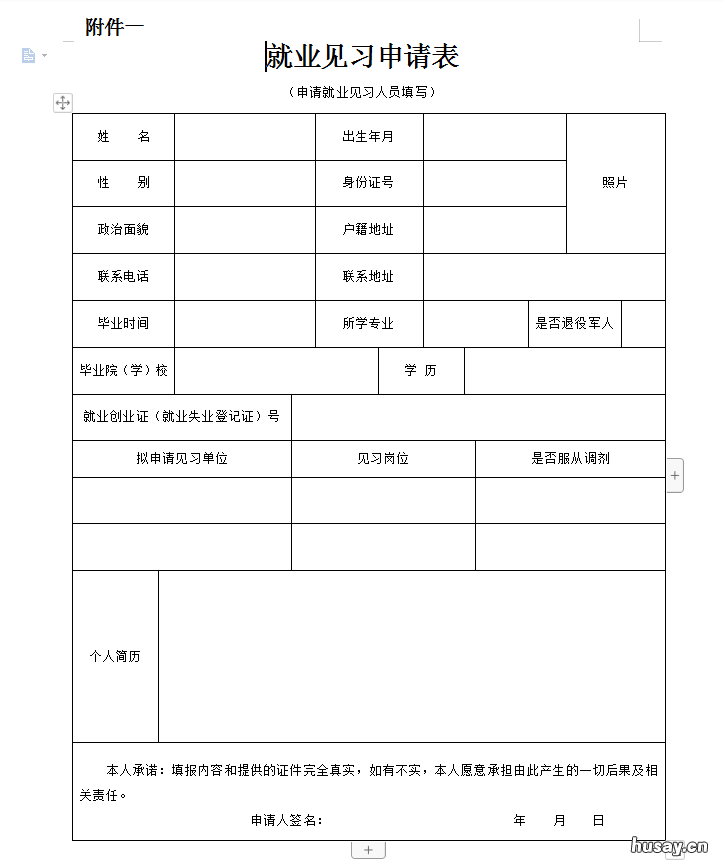 2022石家庄青年就业见习申请表模板 石家庄青年人才市场