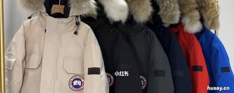 羽绒服有鸭腥味怎么去除 羽绒服去除鸭腥味妙招