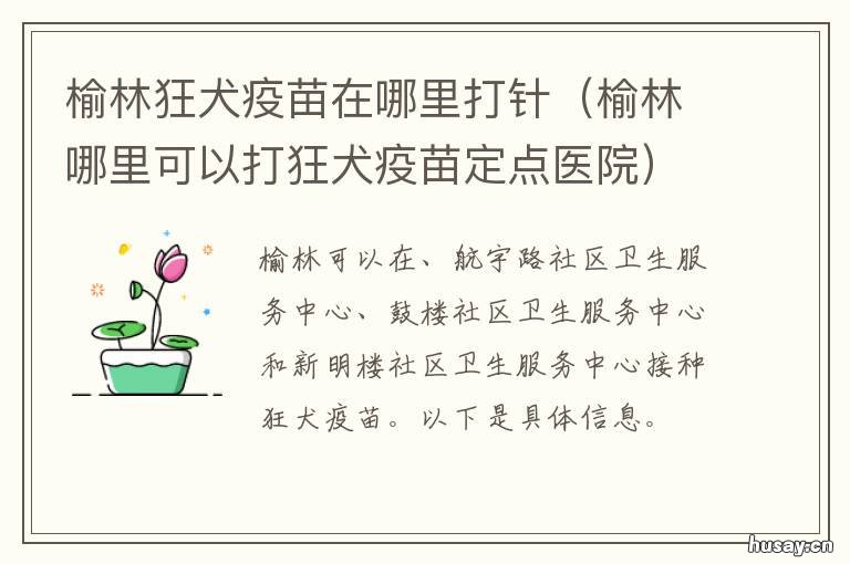 榆林狂犬疫苗在哪里打针 榆林市哪里可以打狂犬疫苗
