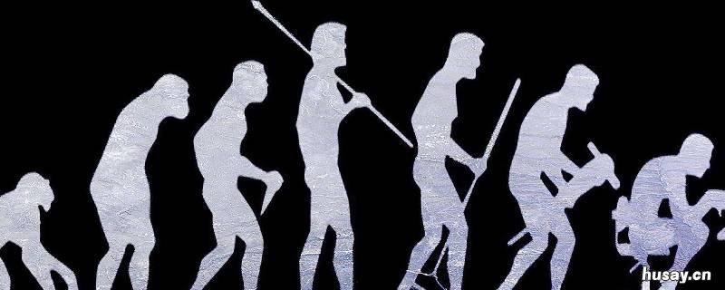 人与灵长类的区别主要表现在哪些方面 人与灵长类的区别主要表现在哪些方面请选出不对的一项