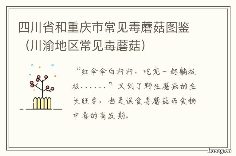 四川省和重庆市常见毒蘑菇图鉴 四川最大的一起毒案