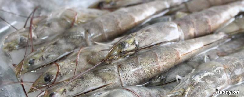 高铁可以带冷冻食品吗 高铁上能带冷冻食品吗