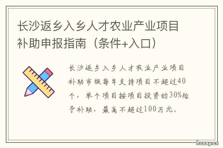 长沙返乡入乡人才农业产业项目补助申报指南 长沙乡村振兴人才