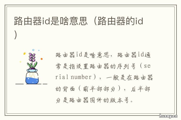 路由器id是啥意思 路由器id是哪个