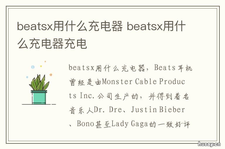 beatsx用什么充电器