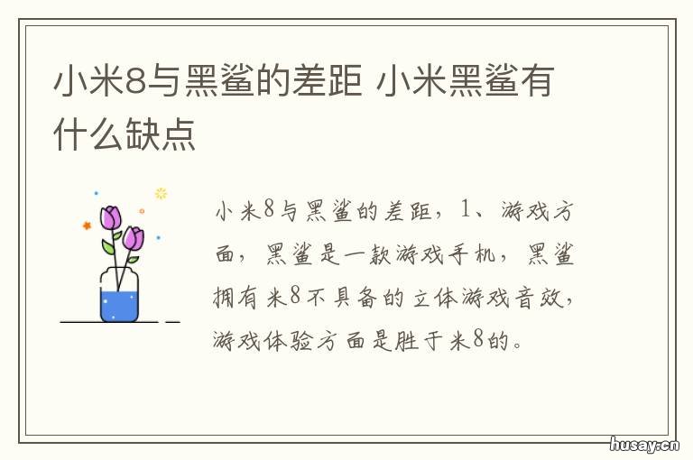 小米8与黑鲨的差距 黑鲨好还是小米8好
