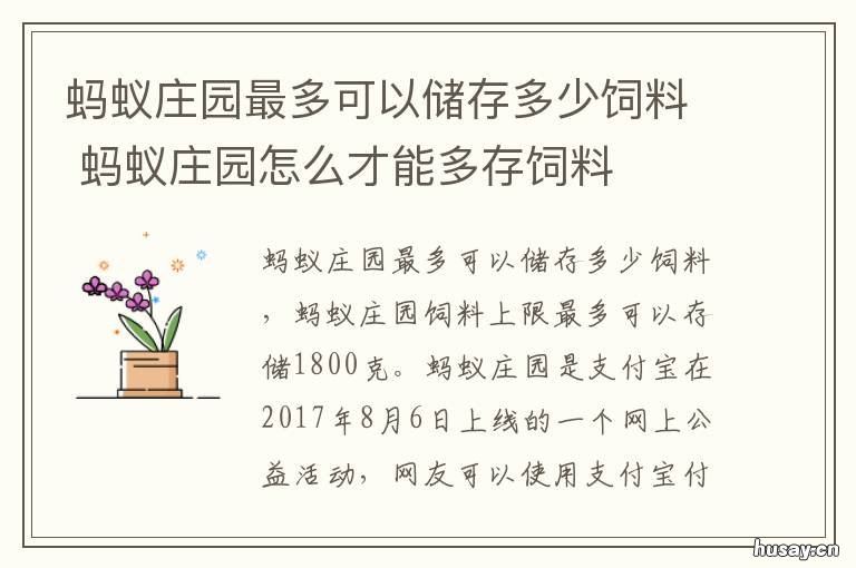 蚂蚁庄园最多可以储存多少饲料 蚂蚁庄园最多可以储存多少饲料种子
