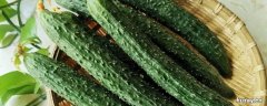 冬天黄瓜怎么保存时间长新鲜 冬季黄瓜怎么保存时间长