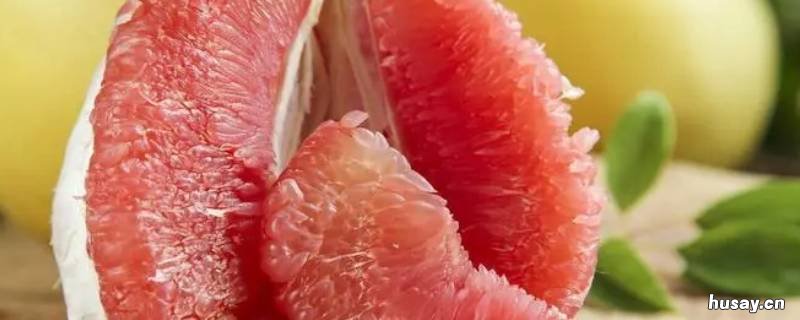 柚子是啥 柚子是啥意思