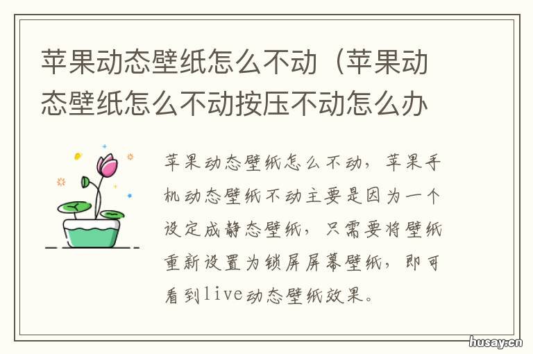 苹果动态壁纸怎么不动 苹果动态壁纸不动什么原因