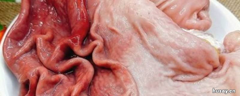 猪肚子是什么部位 猪肚是什么部位?