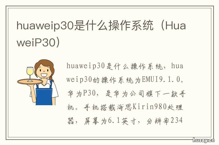 huaweip30是什么操作系统