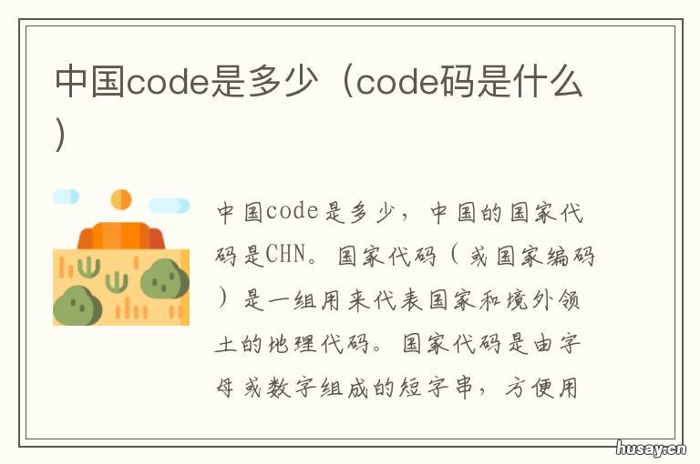 中国code是多少 code是什么?